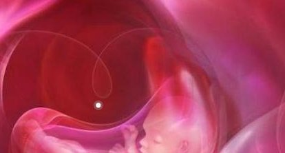 取卵后这样做腹水就能排出体外