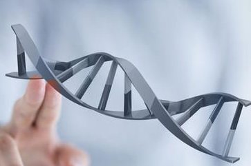 沈阳正规试管婴儿医院成功率排名如何？沈阳地区有哪些私立的机构可以做试管技术？