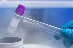 子宫纵隔生育困难可以在三明市做三代试管吗？子宫有问题做试管的成功率高吗？