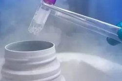 泰安中心医院试管婴儿成功率公布，这些影响因素要知道