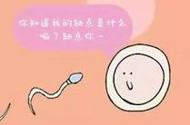 长春哪家医院成功率最高？长春做试管婴儿饮食要注意什么？