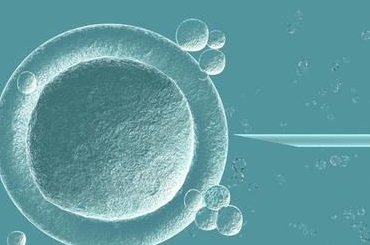 辟谣90%试管婴儿并非自己亲生说法，分情况就知最后真相